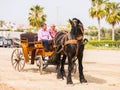 ALMAYATE, SPAIN - APRIL 22, 2018 Traditional Andalusian contest based on the presentation of the ability to drive horse with cart