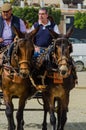 ALMAYATE, SPAIN - APRIL 22, 2018 Traditional Andalusian contest based on the presentation of the ability to drive horse with cart Royalty Free Stock Photo