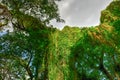 Almendares Park - Havana, Cuba