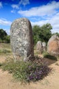 Almendres Cromlech megalith stones