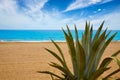 Almeria Mojacar beach Mediterranean sea Spain Royalty Free Stock Photo