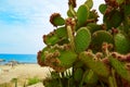 Almeria Mojacar beach Mediterranean sea Spain Royalty Free Stock Photo