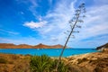 Almeria Playa los Genoveses beach Cabo de Gata Royalty Free Stock Photo