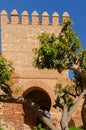 ALMERIA, SPAIN - 26 FEBRUARY 2024 The Alcazaba, one of the best preserved citadels, in the Iberian Peninsula from the Muslim