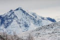 Almirante Nieto mountain in Torres del Paine