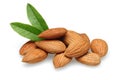 Almond Royalty Free Stock Photo