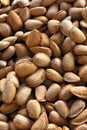 Almond background organic almonds in their shells
