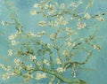 The Almond Blossom by Van Gogh Royalty Free Stock Photo