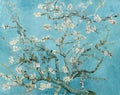 Almond Blossom by Vincent van Gogh,1890 Royalty Free Stock Photo