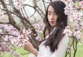 Almond blossoms - Serenity Portrait Vietnamese girl in White Ao