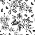 Almond branches background design. Blooming tree twigs with nuts, flowers, leaves backdrop. Floral spring garden background.
