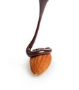 Almond with chocolate flow Royalty Free Stock Photo