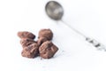 Almond chocolate truffles with cacao powder on a white background, close up Royalty Free Stock Photo