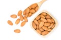brown Almond seeds Royalty Free Stock Photo