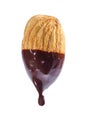 Almond dipped in chocolate. Royalty Free Stock Photo