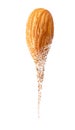 Almond dispersion
