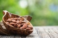 Almond dried seeds on nature background