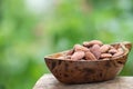 Almond dried seeds on nature background