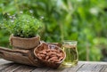 Almond dried seeds and oil on nature background