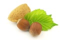 Almond with filbert Royalty Free Stock Photo