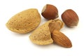 Almond and filbert Royalty Free Stock Photo