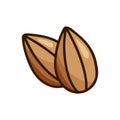 Almond icon. Color hand drawn emblem of two brown nuts. Cartoon clipart for label design of natural organic products. Symbol of