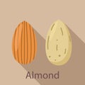 Almond icon, flat style Royalty Free Stock Photo