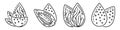 Almond icon set, outline style Royalty Free Stock Photo