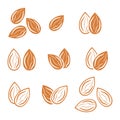 Almond icon vector illustration