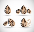 Almond icon vector illustration