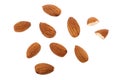 Almond isolated. Almonds on white background. Almond set. Full depth of field. Royalty Free Stock Photo