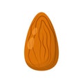 Almond isolated on white background, vector illustration Royalty Free Stock Photo