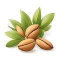 Almond kernel with green leaves set isolated on white background. Illustration style Royalty Free Stock Photo