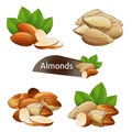Almond kernel with green leaves set Royalty Free Stock Photo