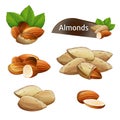 Almond kernel with green leaves set Royalty Free Stock Photo