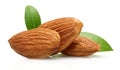 Almond