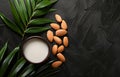 Almond milk in bowl and almonds with green leaves on black stone table Royalty Free Stock Photo