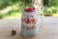 Almond milk chia pudding with fresh red strawberries, goji berries and oat flakes in a glass jar mug. Vegan raw breakfast. Chia Royalty Free Stock Photo