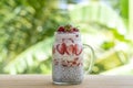 Almond milk chia pudding with fresh red strawberries, goji berries and oat flakes in a glass jar mug. Vegan raw breakfast. Chia Royalty Free Stock Photo