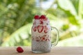 Almond milk chia pudding with fresh red strawberries, goji berries and oat flakes in a glass jar mug. Vegan raw breakfast. Chia Royalty Free Stock Photo