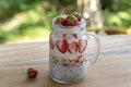 Almond milk chia pudding with fresh red strawberries, goji berries and oat flakes in a glass jar mug. Vegan raw breakfast. Chia Royalty Free Stock Photo