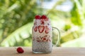 Almond milk chia pudding with fresh red strawberries, goji berries and oat flakes in a glass jar mug. Vegan raw breakfast. Chia Royalty Free Stock Photo
