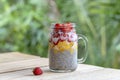 Almond milk chia pudding with fresh strawberries and mango in a glass jar mug. Vegan raw breakfast. Chia seeds and fresh cut Royalty Free Stock Photo