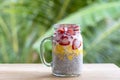 Almond milk chia pudding with fresh strawberries and mango in a glass jar mug. Vegan raw breakfast. Chia seeds and fresh cut Royalty Free Stock Photo