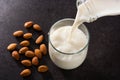 Almond milk in glass on black background Royalty Free Stock Photo