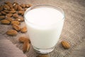 Almond milk Royalty Free Stock Photo