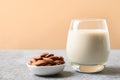 Almond milk and nuts in bowl. Vegan milk replacer. Lack of cholesterol Royalty Free Stock Photo