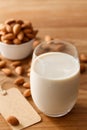 Almond milk organic healthy nut vegan vegetarian drink Royalty Free Stock Photo