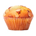 Almond muffin cup cake isolated white close up Royalty Free Stock Photo