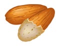 Almond nut